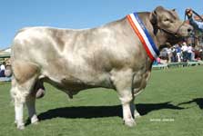 Baroona Park Jupiter